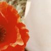 menstruación y sexo