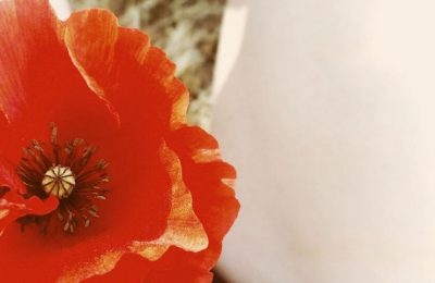 menstruación y sexo